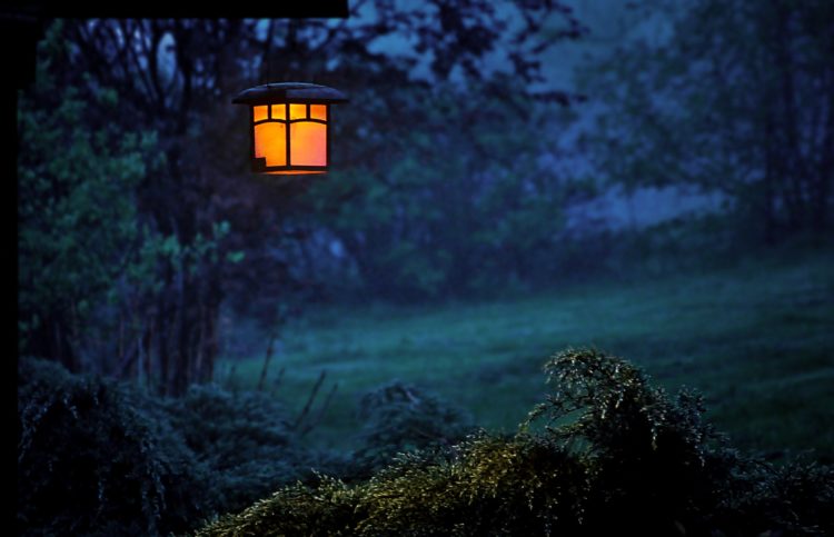 Ein chinesischer Garten bei Nacht, erhellt durch eine antike Lampe, wer betrachtet die Landschaft?