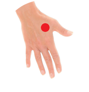 Der Punkt Dickdarm 4 liegt in der Muskulatur zwischen Daumen und Zeigefinger.