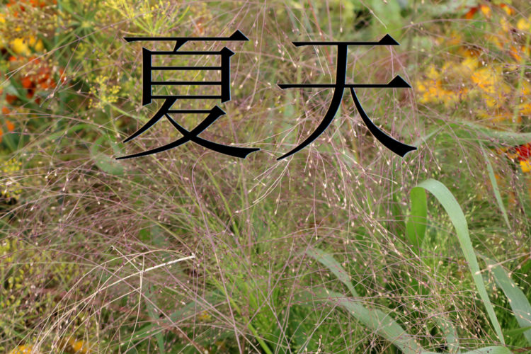 Das chinesische Zeichen für den Sommer.