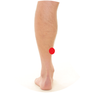 Milz 6 liegt eine Handbreit über dem inneren Knöchel am Unterschenkel.
