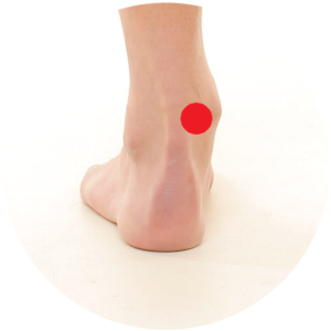 Niere 3 liegt zwischen der Achillessehne und dem inneren Knöchel.