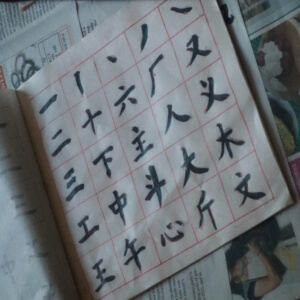 Die chinesischen Schriftzeichen sind fast schon bildhafte Darstellungen.